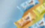bella_banner1.jpg